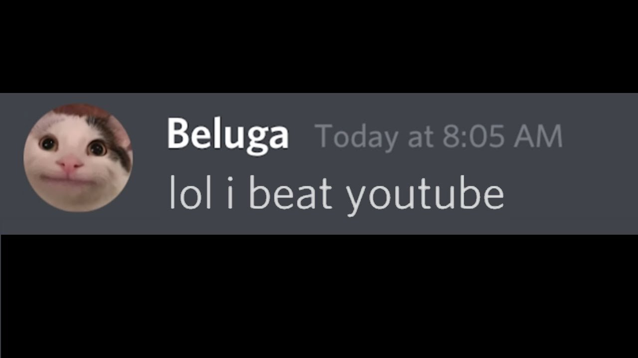 How to make a Beluga Discord Video 